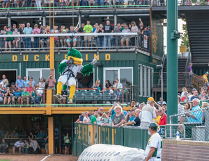 Madison Mallards