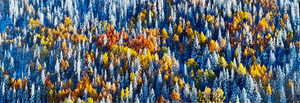 Fall on Rabbit Ears Pass by Aryea Copa