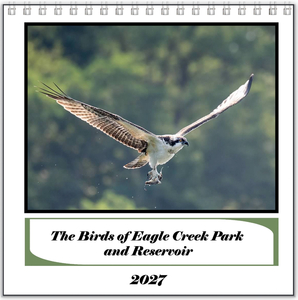 Calendar - Birds of Eagle Creek Park & Reservoir