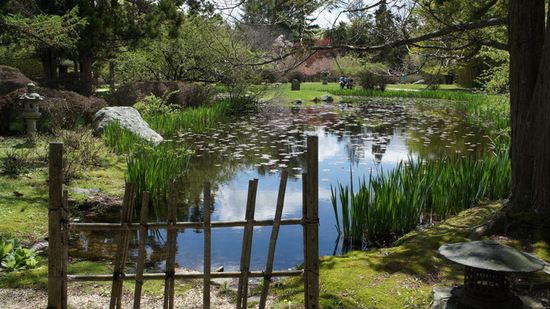 Hammond Museum & Japanese Stroll Garden