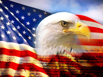 Flag s550