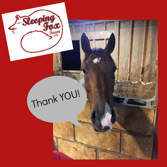 Sleeping Fox Farm, LLC & Thoroughbred Rescue