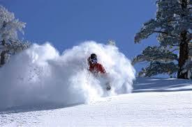 225 quechee ski s300