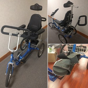 Bicycle s300
