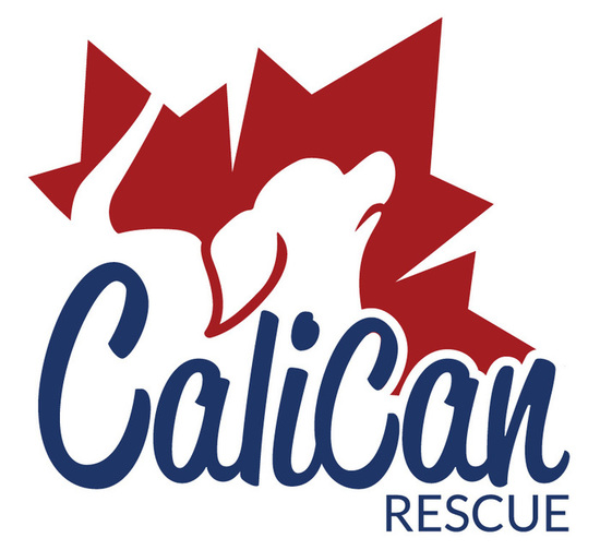 CaliCan Rescue