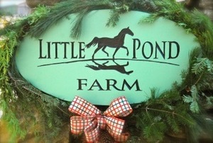 Two Nights at Little Pond Farm in Stonington, CT