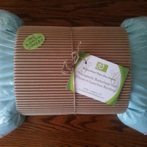 Pillow aqua with new tag s300