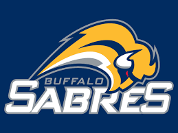 Buffalo s300