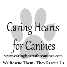 Caring Hearts for Canines