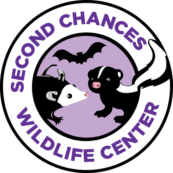 Second Chances Wildlife Center