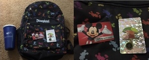 Disneyland Backpack gift set