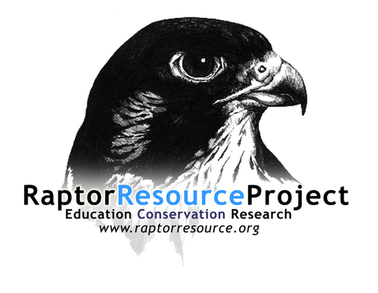 Raptor Resource Project