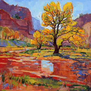 Erin hanson reflections in the wash s300
