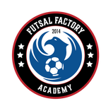 003 Futsal Soccer Camp or Classes