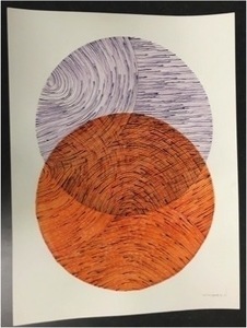 Seth johnson orange purple s300