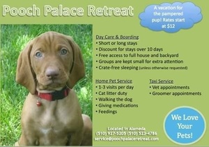 Two Nights Dog Boarding at Pooch Palace Retreat