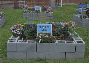 Name the CCE Garden Bed #1