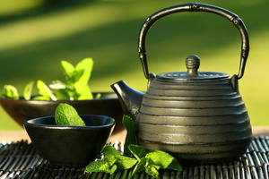 Green tea effective medicine against ovarian cancer 1 s300