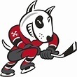 Niagara Icedogs 2017-8 Season Tickets