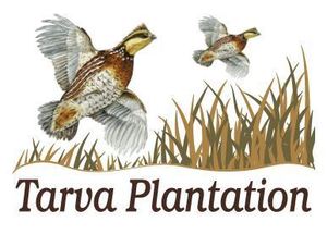 Tarva Plantation