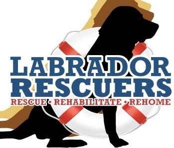 Labrador Rescuers