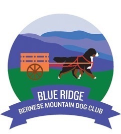 Blue Ridge Bernese Mountain Dog Club