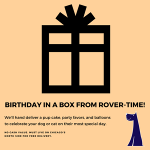 Rover time surprise 1 s300