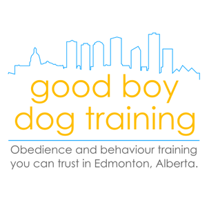 Good Boy Dog Training - One 6 Week Group Class