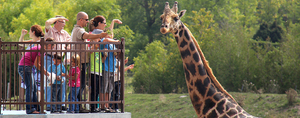 Un laissez-passer familial - Parc Safari