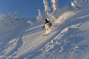 Mustang Powder Cat-Skiing in Beautiful BC Canada