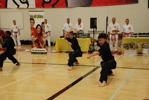 Northernkarate s300