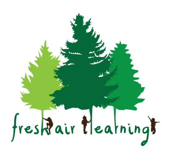 Fresh air learning transparent s550