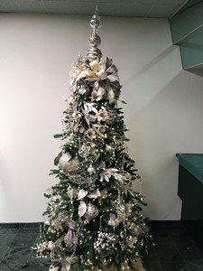 Full tree s300