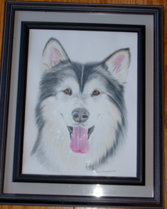 Spencer greenwood drawingcropped s300