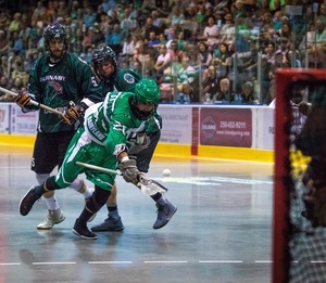 20 shamrocks may 26 2017 3342 s300