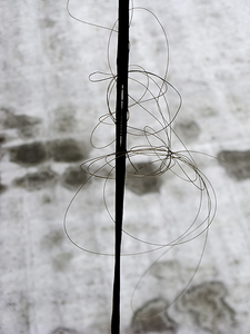 daryl annsaunders wire 1841broadwaywire 2 s300