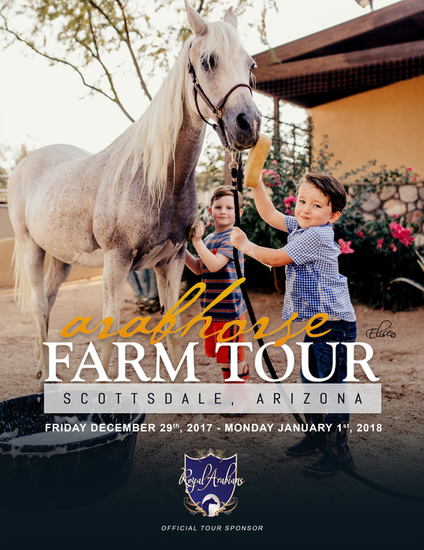 Arabhorse farm tour brochure cover chase and gio 2017 s550