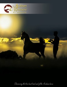 Ad/Editorial Package 1 | Arabian Breeders Magazine