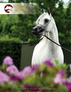 Ad/Editorial Package 2 | Arabian Breeders Magazine