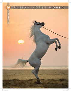 One Page Advertisement | Arabian Horse World