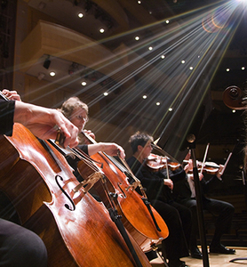 Mso page cello light s300