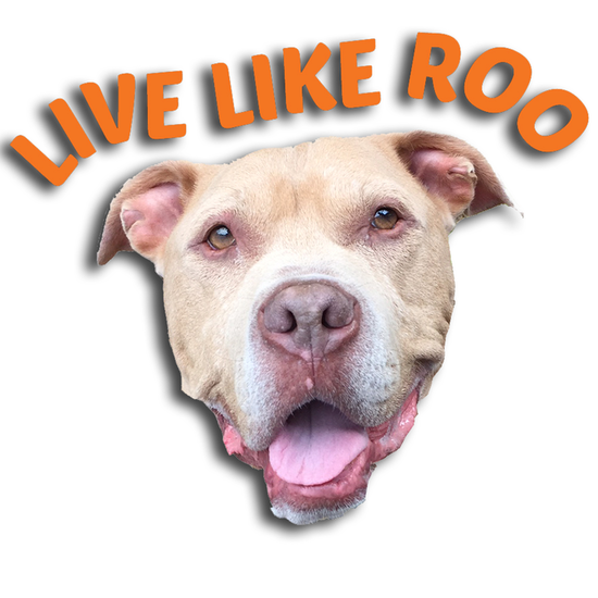 Live Like Roo Foundation