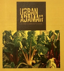 Urban Adamah gift certificate