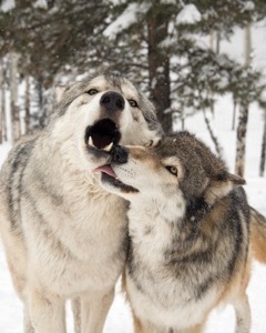 J7 keara kissing micah s300