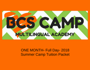 BCS CAMP Multilingual Academy