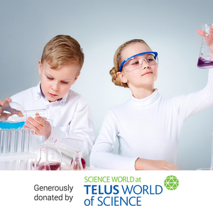 Admission for 2 adults & 2 kids to Science World