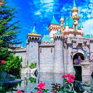 Disneyland s300