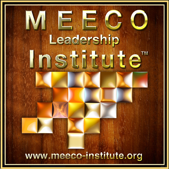 MEECO Leadership Institute™