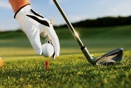 Como park gc s300