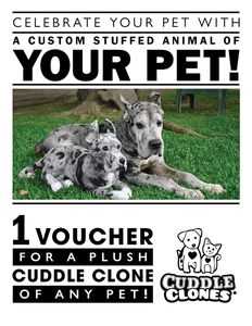 Cuddle clones certificate promo s300